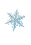 雪花