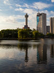 八一公园