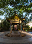 八一公园