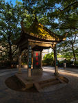 八一公园