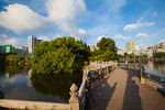 八一公园