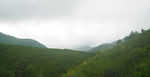 山