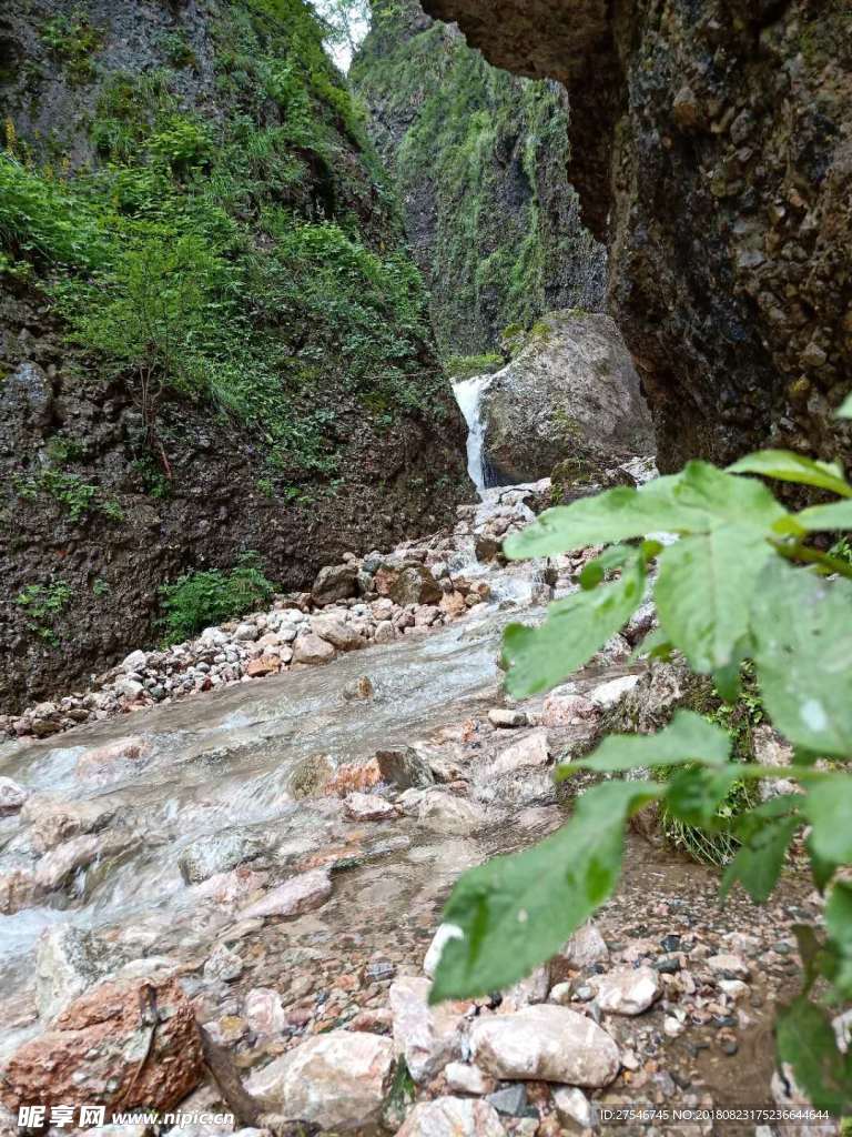 深山泉水