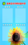 四表