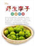 李子海报