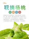 杨桃海报