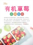 草莓海报