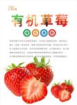 草莓海报