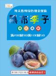 李子海报