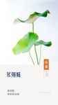处暑