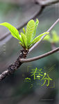 春分