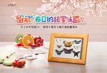 手工标本