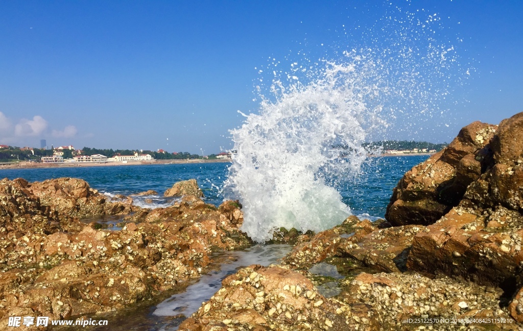 浪花