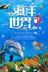 海洋世界