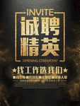 诚聘精英