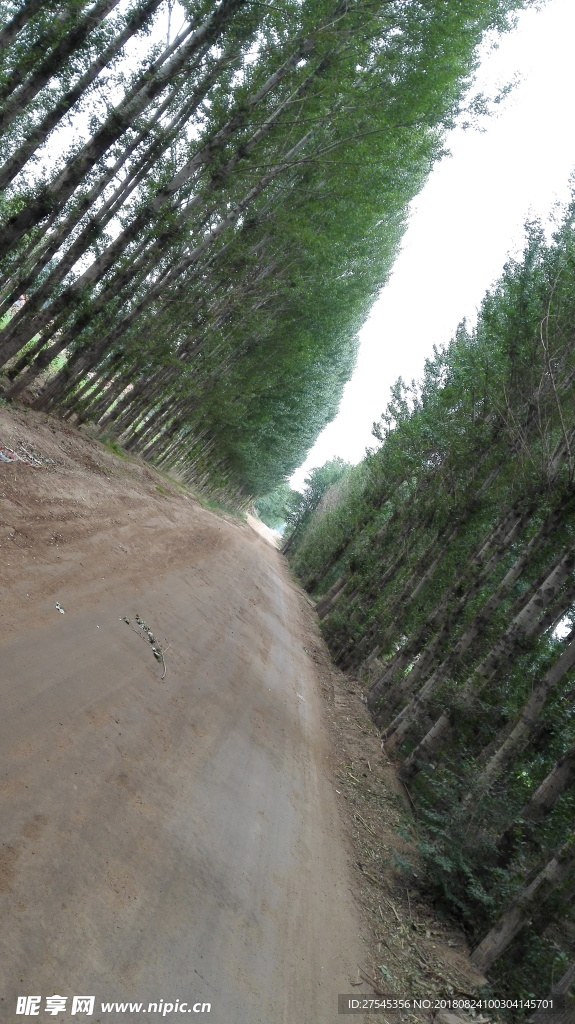 乡间小路