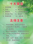 十大禁忌