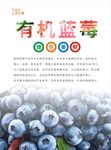 蓝莓海报