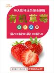 草莓海报