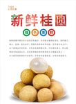 桂圆海报