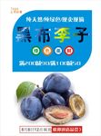 李子海报