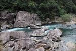 山水 山 水 绿树 绿水