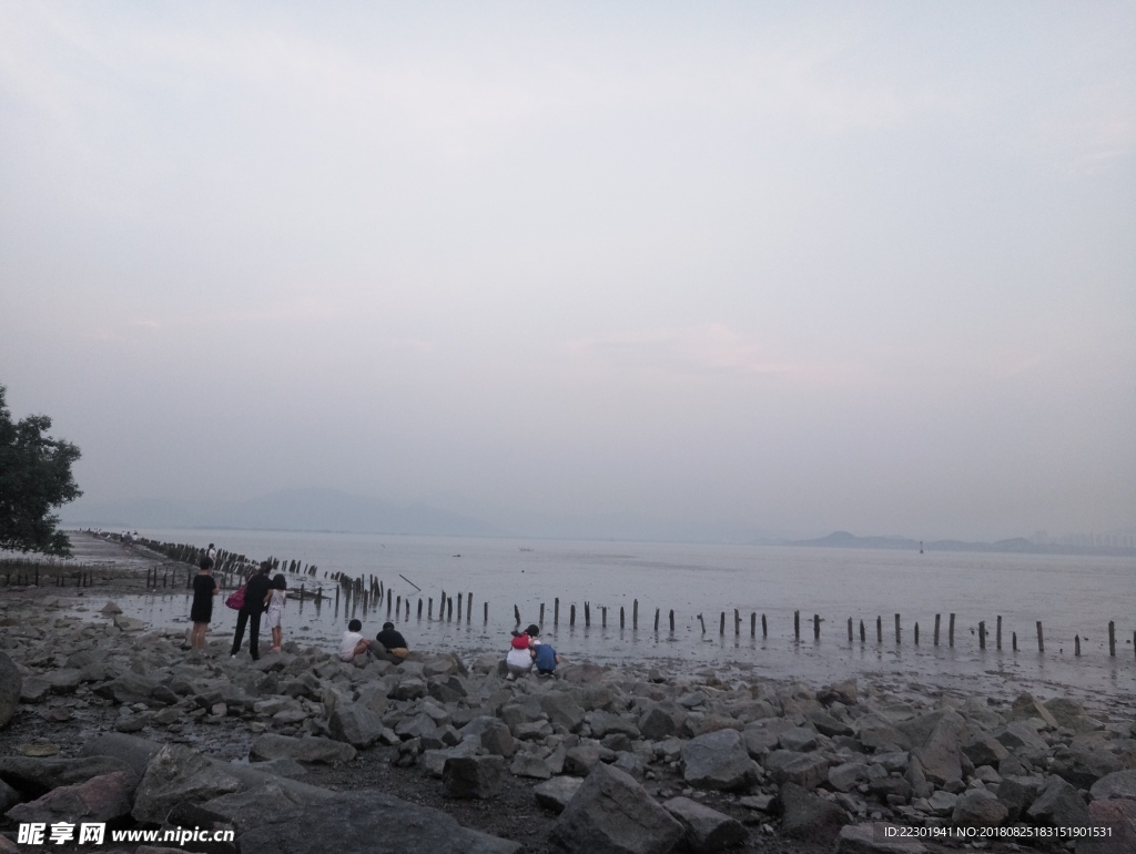 海边 大海 岩石 樵石 天空