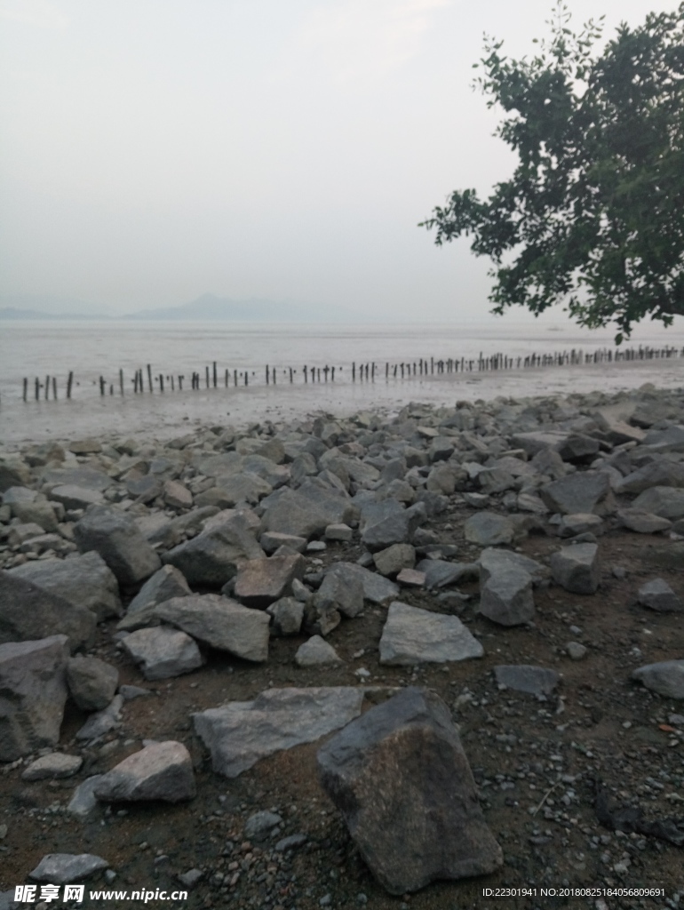 海边 大海 岩石 樵石 天空