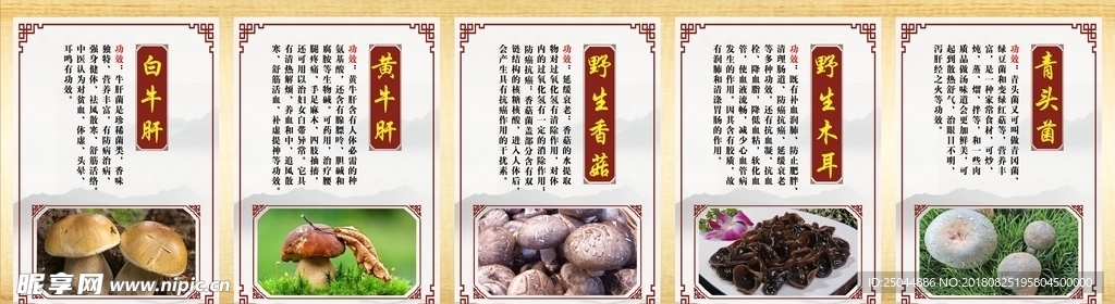 野生菌海报