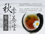 秋季 养生 菊花茶 养肺