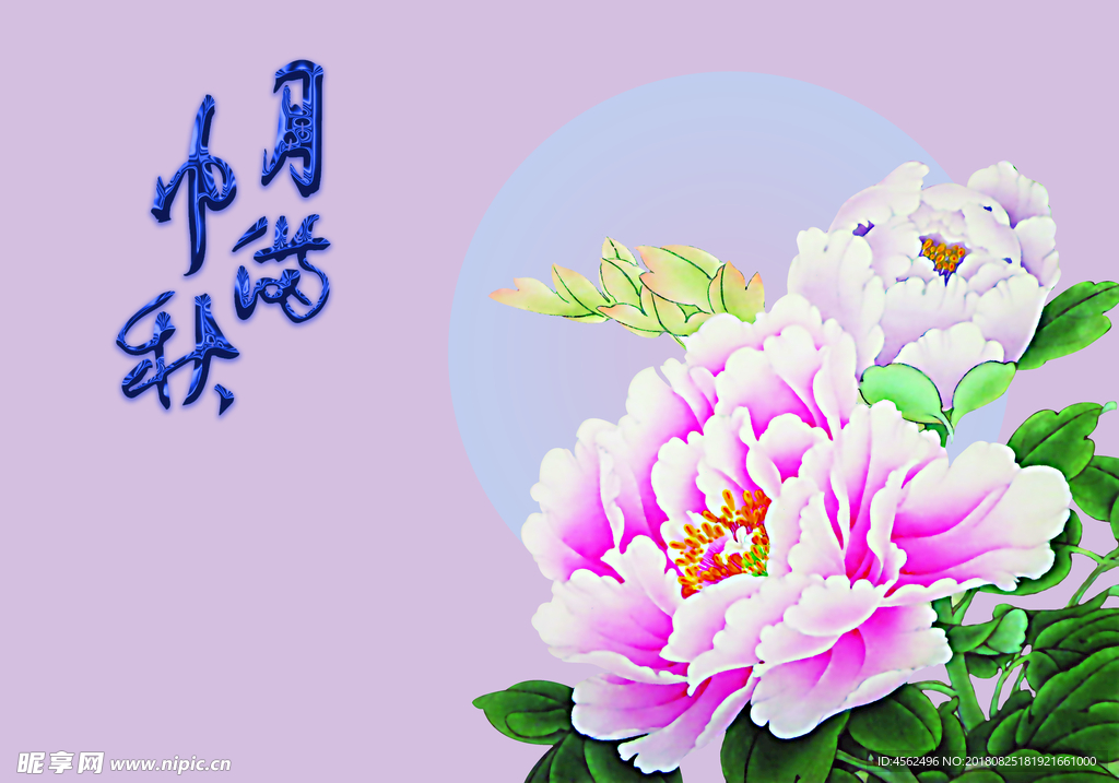 包装设计