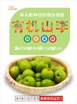 李子海报