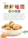桂圆海报