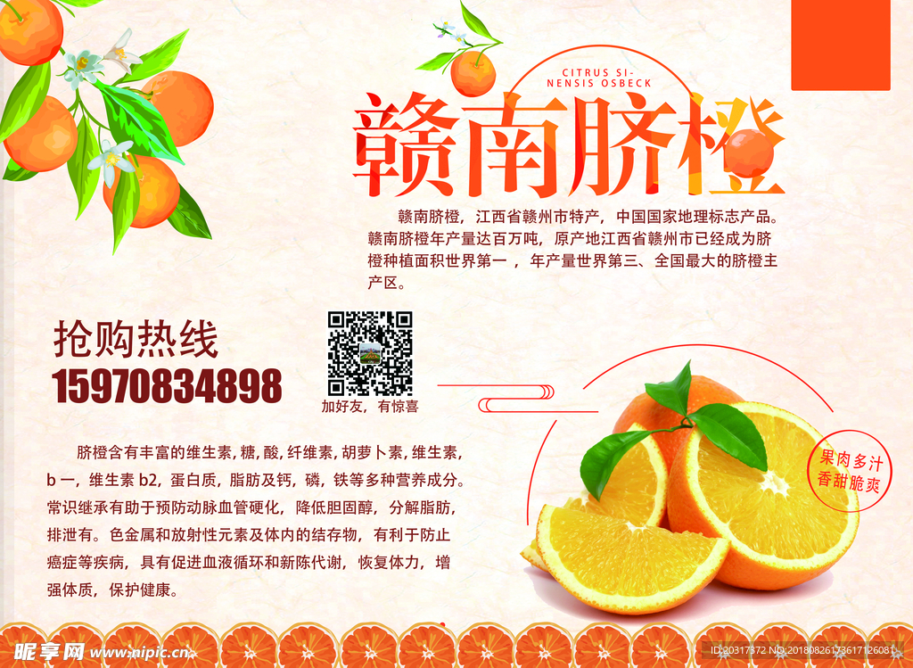 赣南脐橙