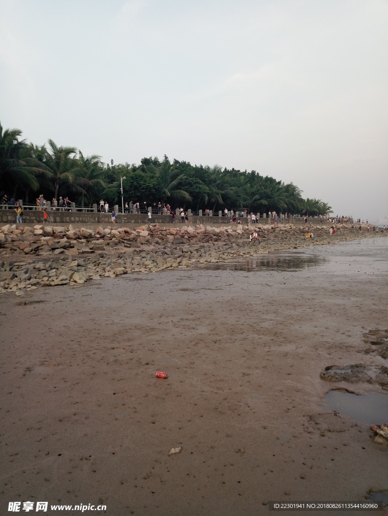 海边 大海 岩石 樵石 天空