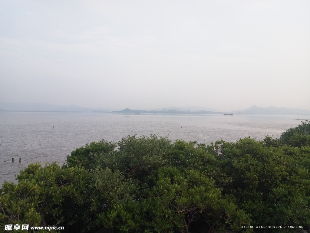 海边 大海 岩石 樵石 天空