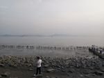 海边 大海 岩石 樵石 天空