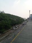 小路边
