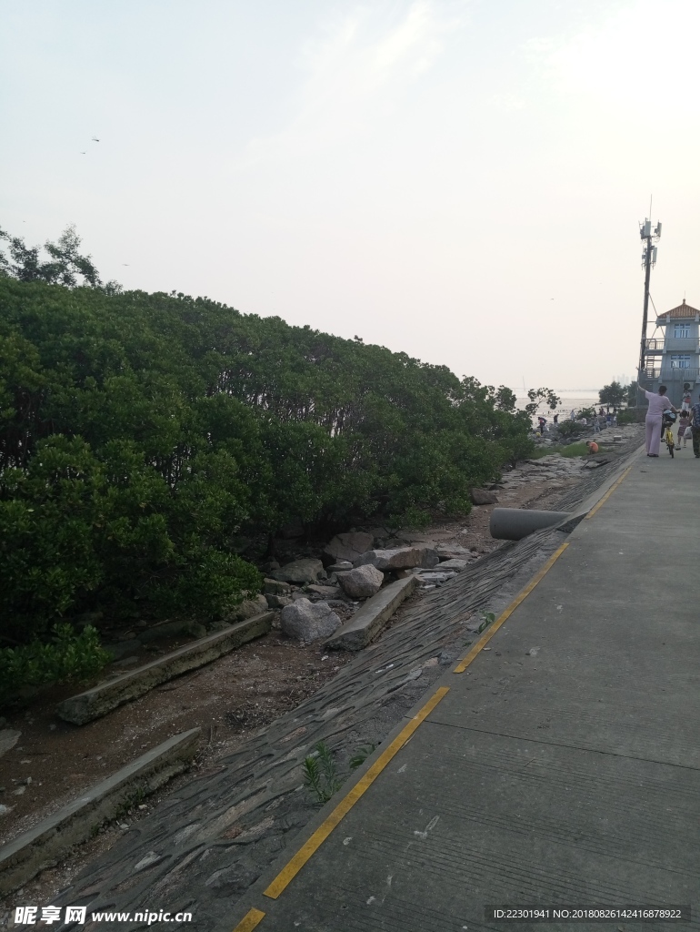 小路边