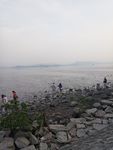 海边 大海 岩石 樵石 天空