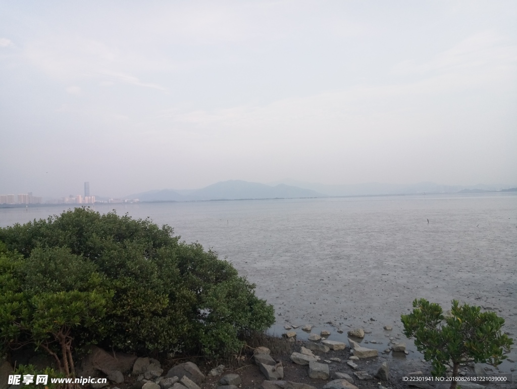 海边 大海 岩石 樵石 天空