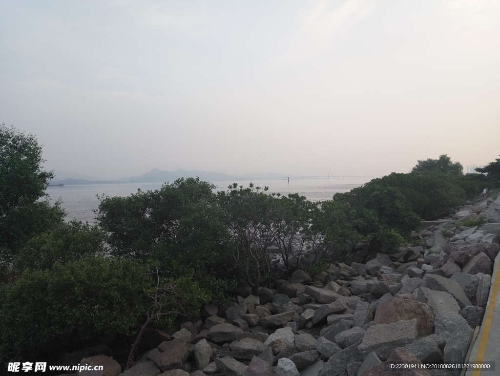 海边 大海 岩石 樵石 天空