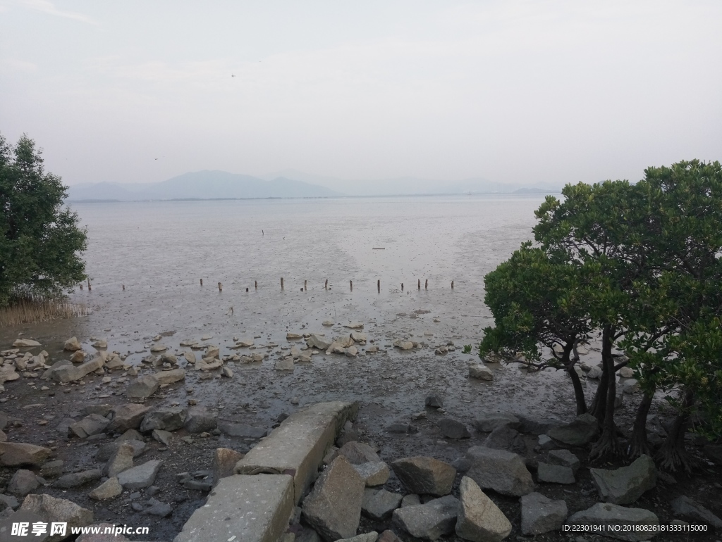 海边 大海 岩石 樵石 天空