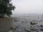 海边 大海 岩石 樵石 天空