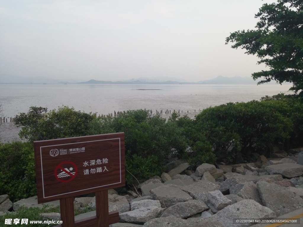 海边 大海 岩石 樵石 天空