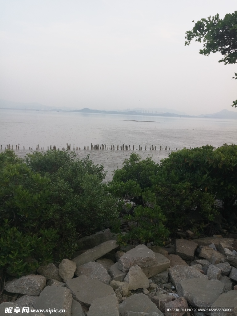 海边 大海 岩石 樵石 天空