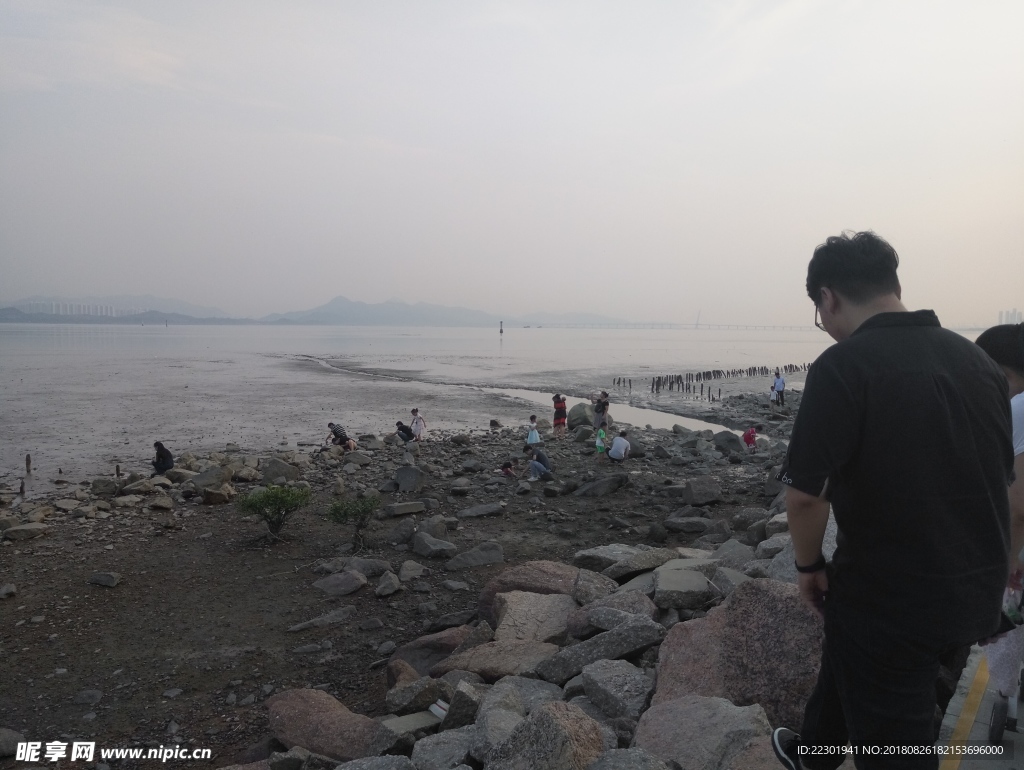 海边 大海 岩石 樵石 天空