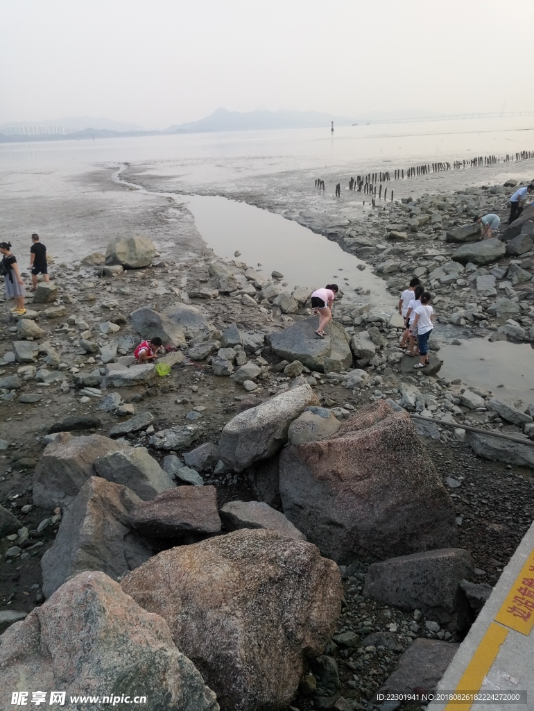 海边 大海 岩石 樵石 天空