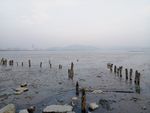 海边 大海 岩石 樵石 天空