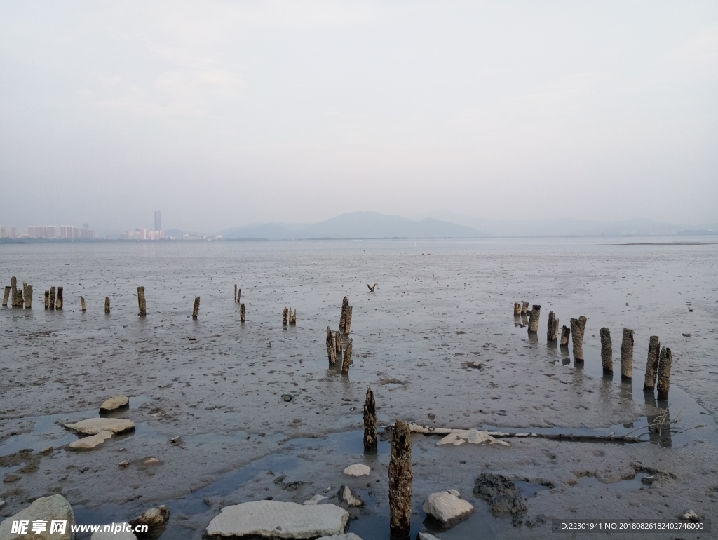 海边 大海 岩石 樵石 天空